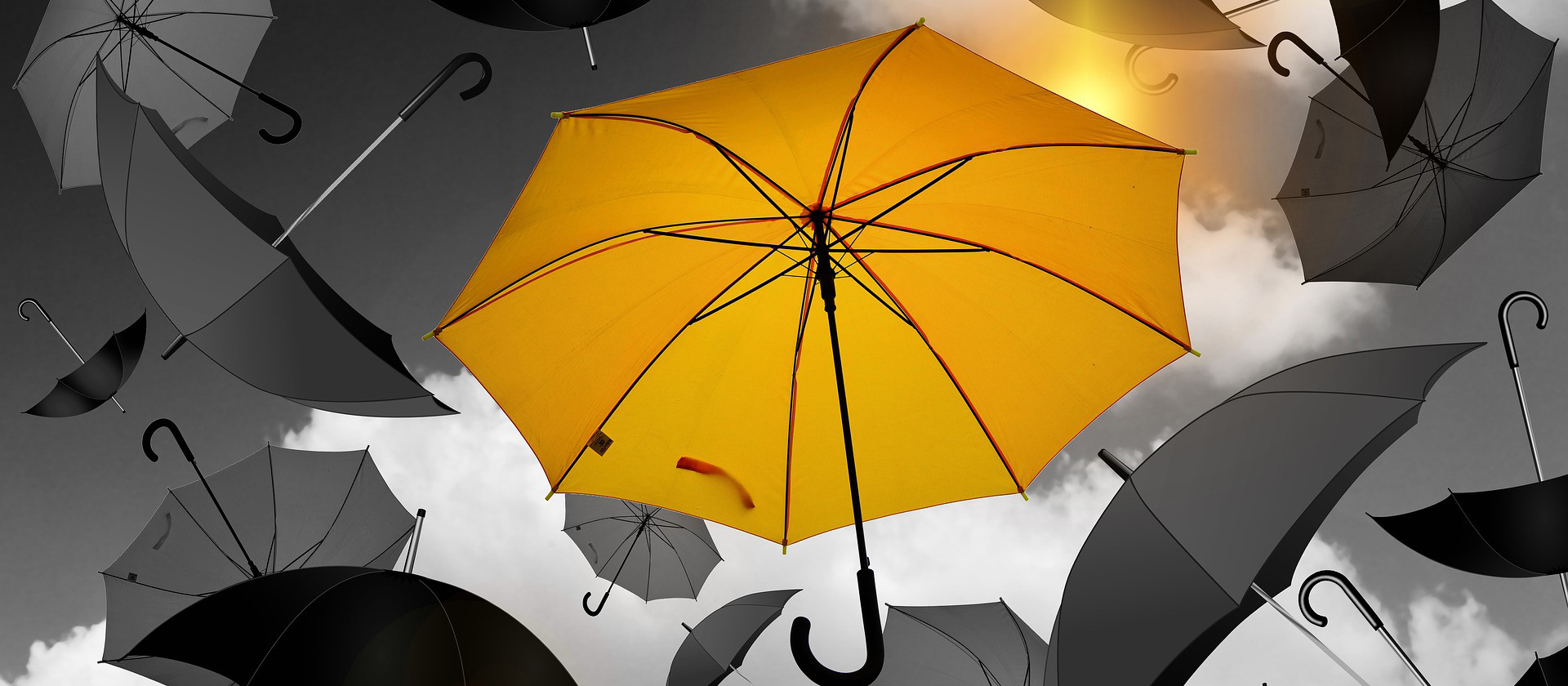 Şemsiye Basamaklar İçin Dört Ana Malzeme Vardır